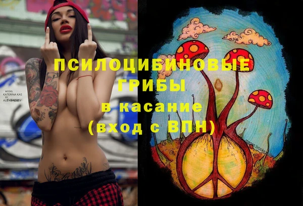 спайс Алексеевка