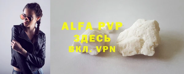 крисы Алексин
