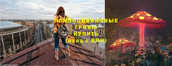 крисы Алексин