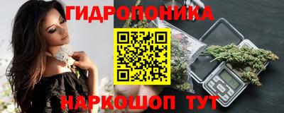 гидра Обнинск