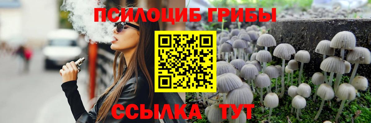 Псилоцибиновые грибы мицелий Октябрьский