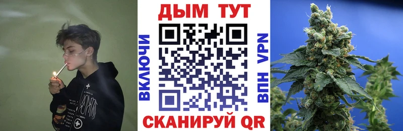 Бошки марихуана OG Kush Октябрьский